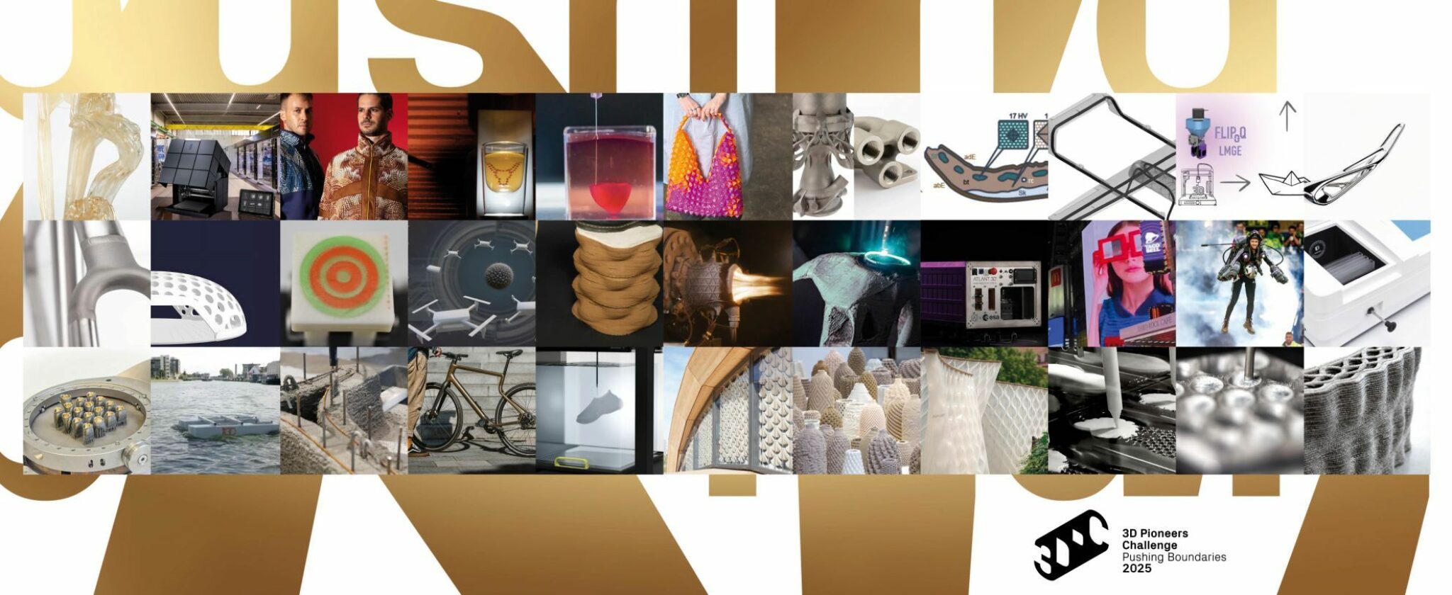 3D Pioneers Challenge 2025