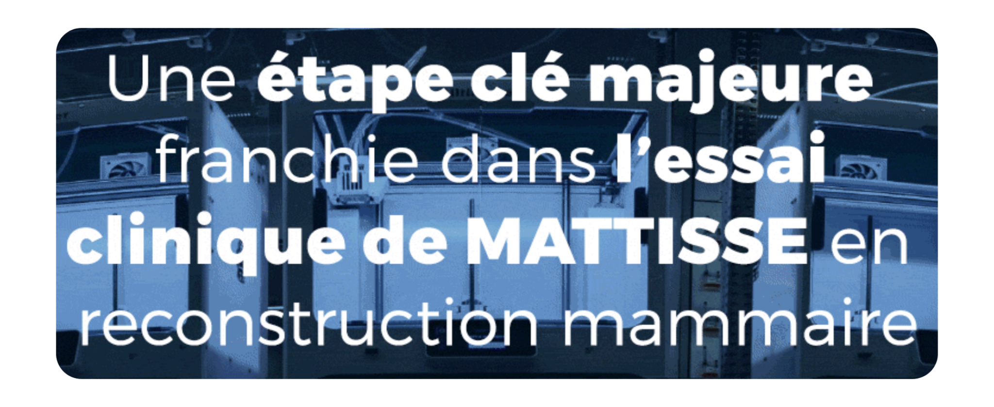 Newsletter financière #3