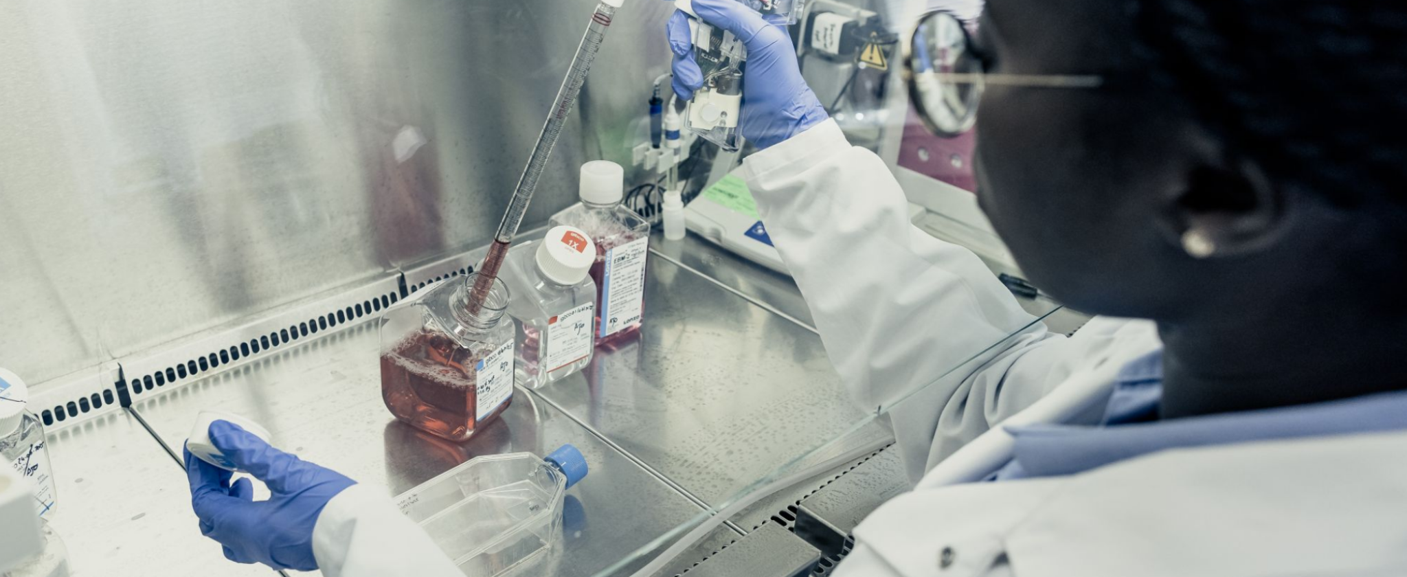 Nos publications scientifiques