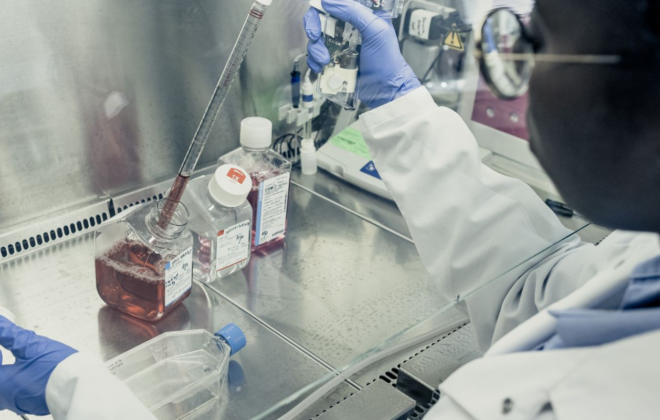 Nos publications scientifiques